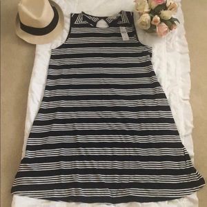 Ann Taylor Loft dress